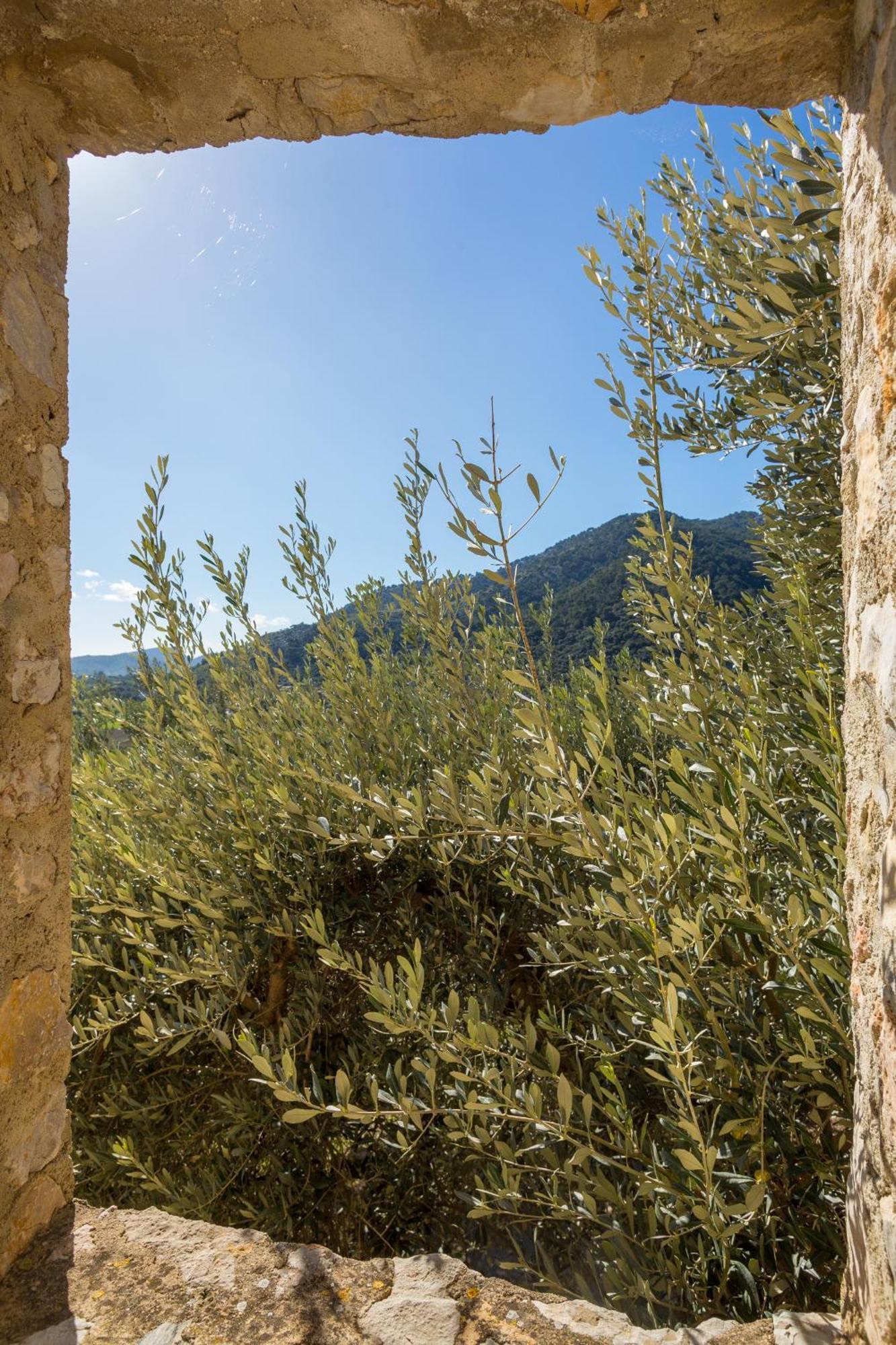 Finca Es Castell บินิโบนา ภายนอก รูปภาพ