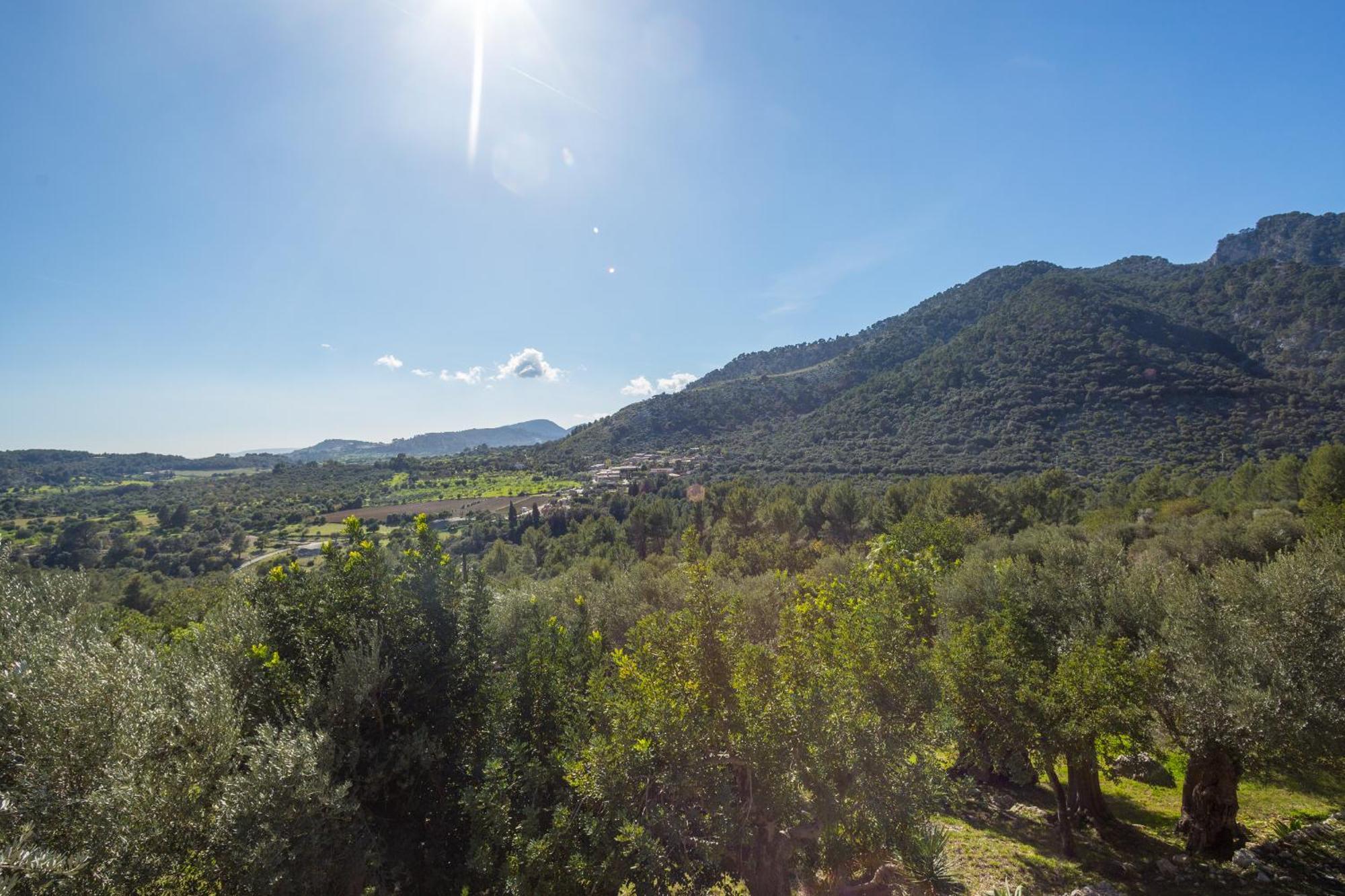 Finca Es Castell บินิโบนา ภายนอก รูปภาพ