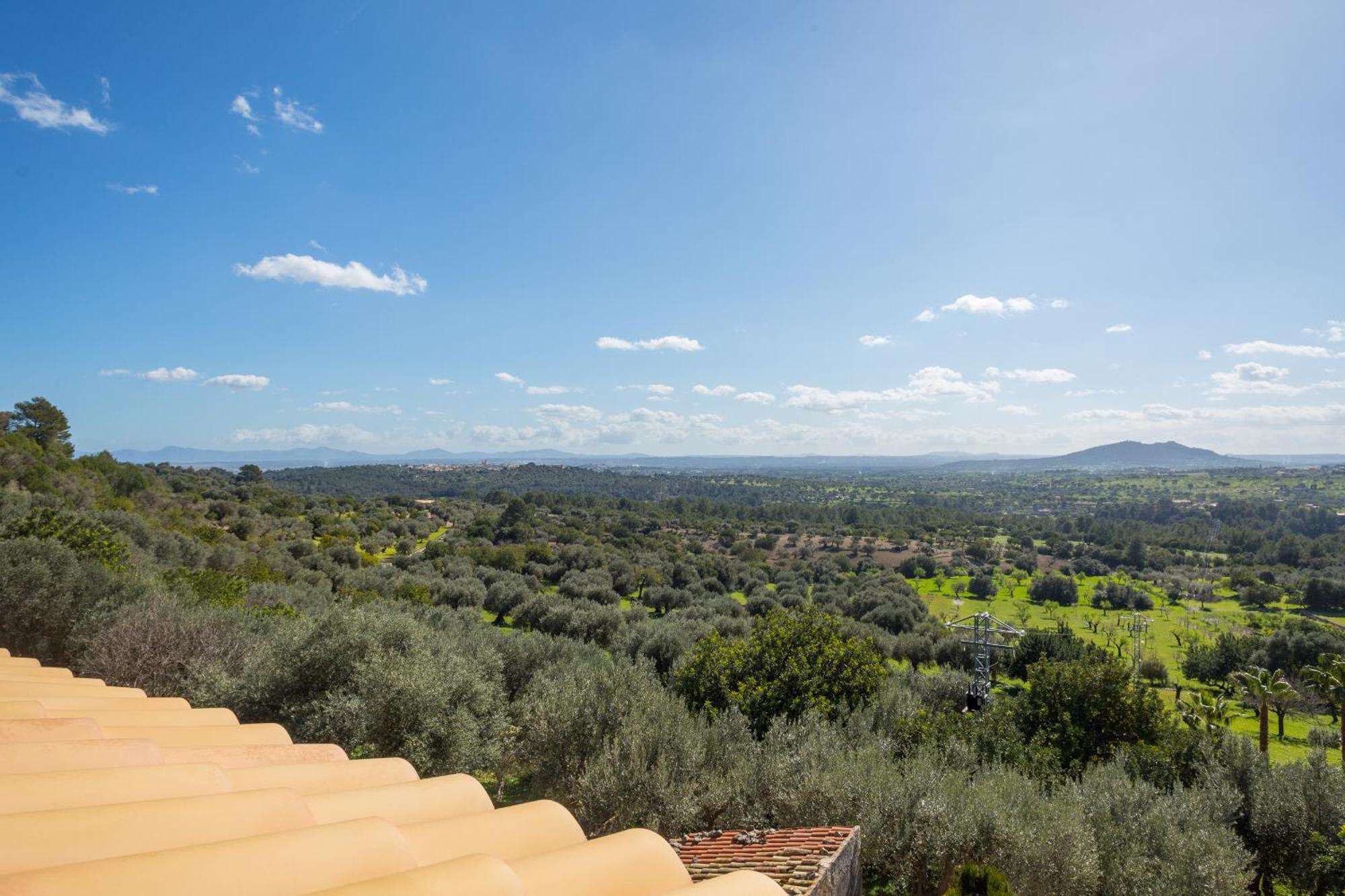 Finca Es Castell บินิโบนา ภายนอก รูปภาพ